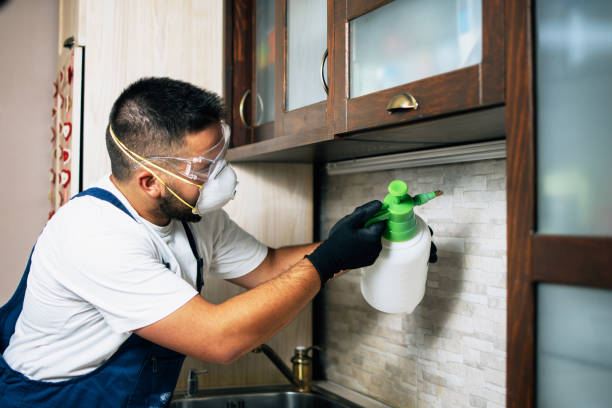 Best Flea Control Services  in Lake Camelot, WI