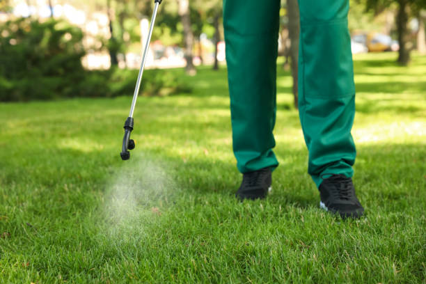 Professional Pest Control in Lake Camelot, WI