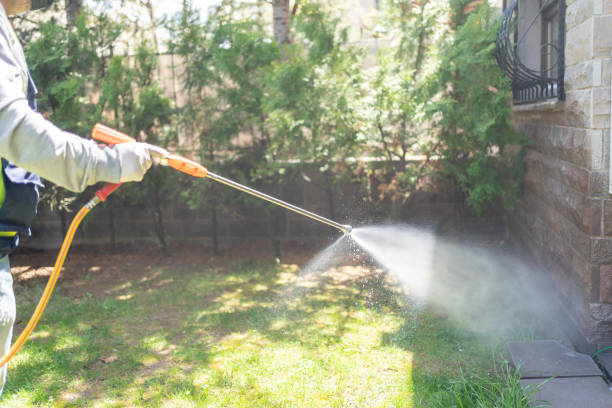 Spider Control Near Me in Lake Camelot, WI